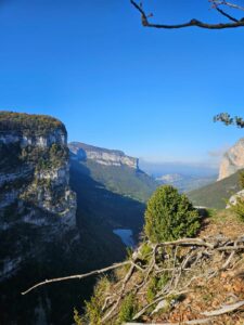 Lire la suite à propos de l’article Marche nordique à Saint-Julien-en-Vercors : sortie tonique vers la Porte du Diable