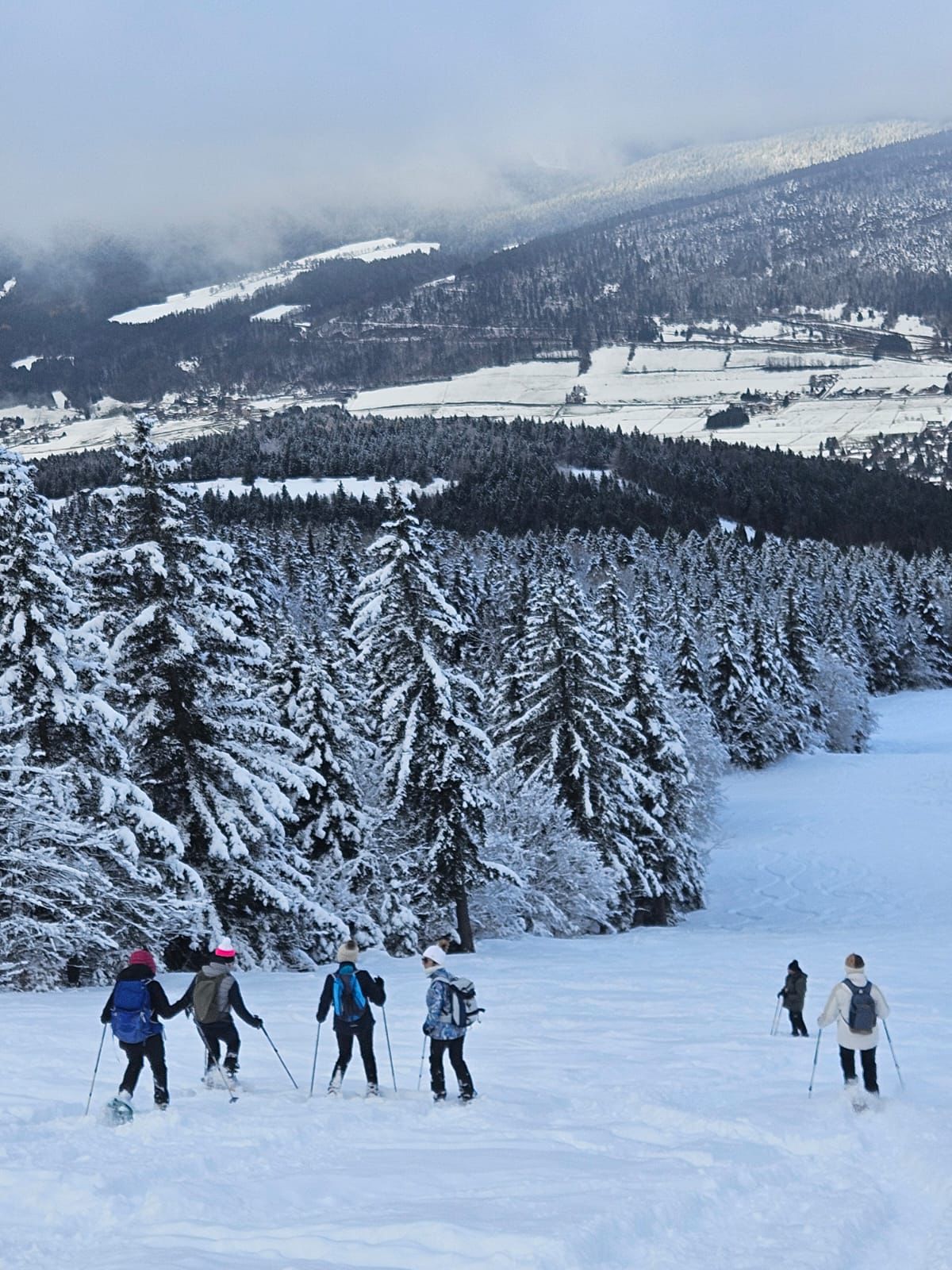 Lire la suite à propos de l’article sortie raquettes – Vertige des Cimes, Lans-en-Vercors